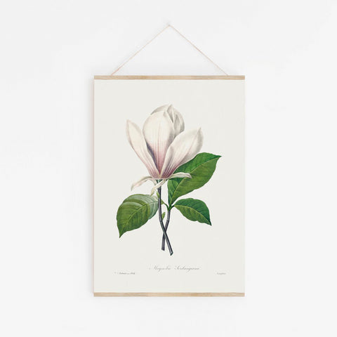Stefan Papir - Plakat A3 Magnolia - Norway Designs