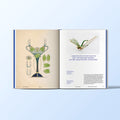 Studio Geist - David-Andersen 1876-2026 - Norway Designs