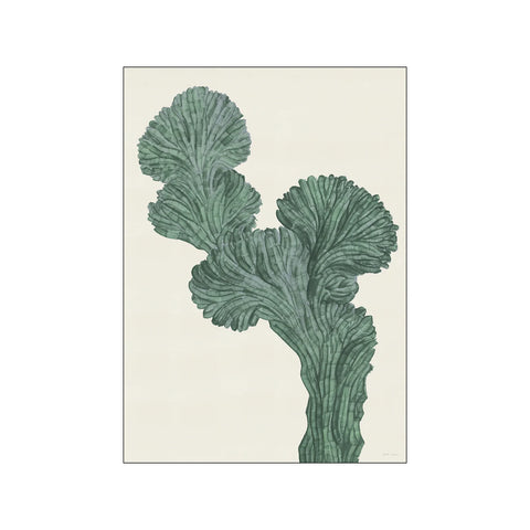 Poster & Frame- Dorthe Svarrer Plakat 50x70cm Cactus Myrtillo-Norway Designs