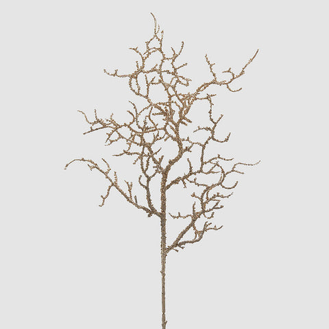 EDG - Gren Champagne - NOrway Designs