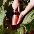 L:A Bruket - Hånd & Kroppssåpe No 339  Rabarbra / Geranium 450ml - Norway Designs
