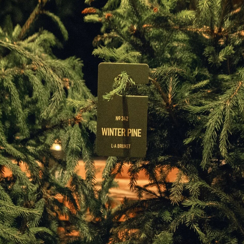Fragrance Tag No 342 Winter Pine fra L:A Bruket