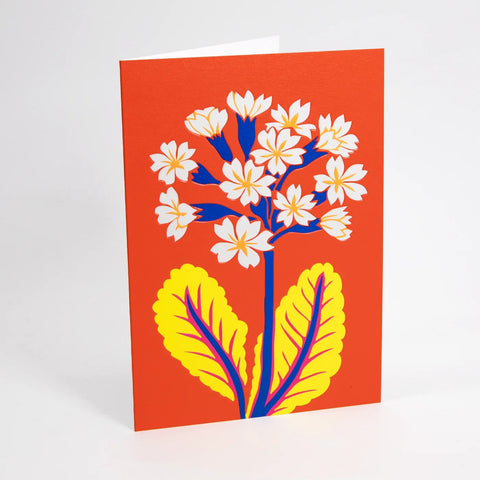 Lagom-Kort-Gullviva Floral-Norway Designs