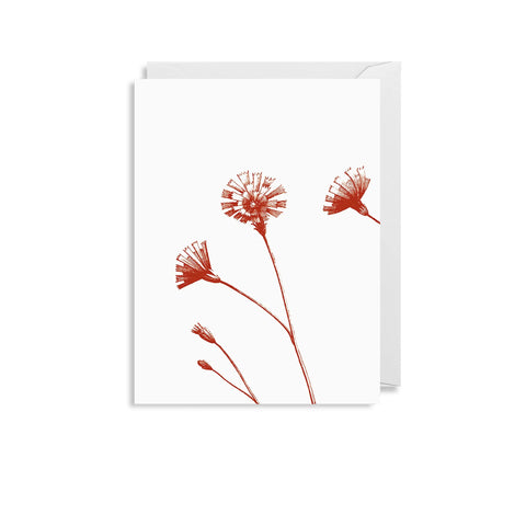 Lagom Design "Winds of Wakehurst" Minikort - Norway Designs