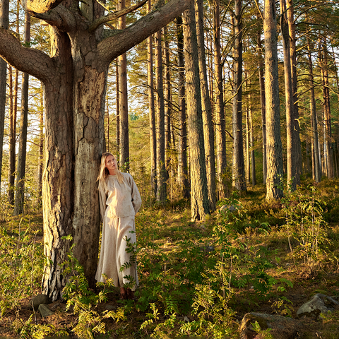 Nygårdsanna - Raglan Blouse - Norway Designs