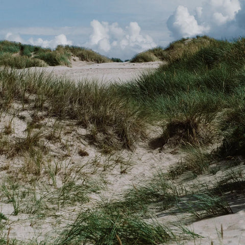 TUE + DAM - Nordic Handwash 500ml -Norway Designs